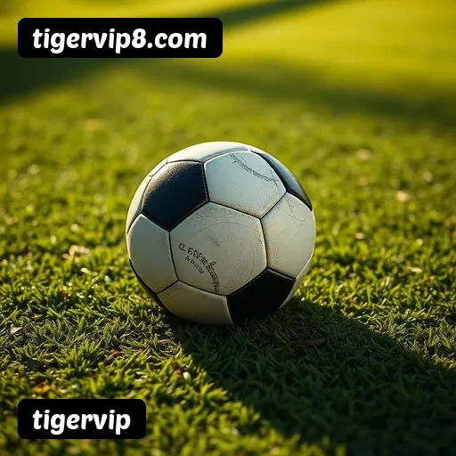 Jogos de Cassino ao Vivo